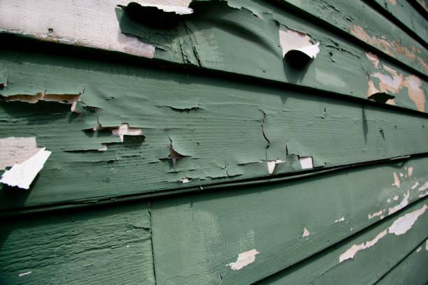 Best James Hardie Siding  in Newport, NC