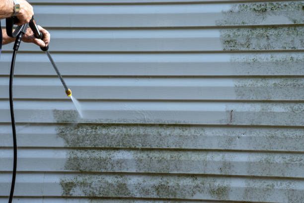 Best Siding Removal and Disposal  in Newport, NC