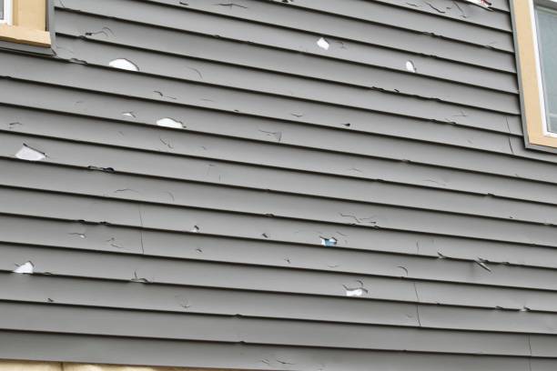 Best Aluminum Siding Installation  in Newport, NC