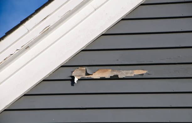 Best Insulated Siding Installation  in Newport, NC