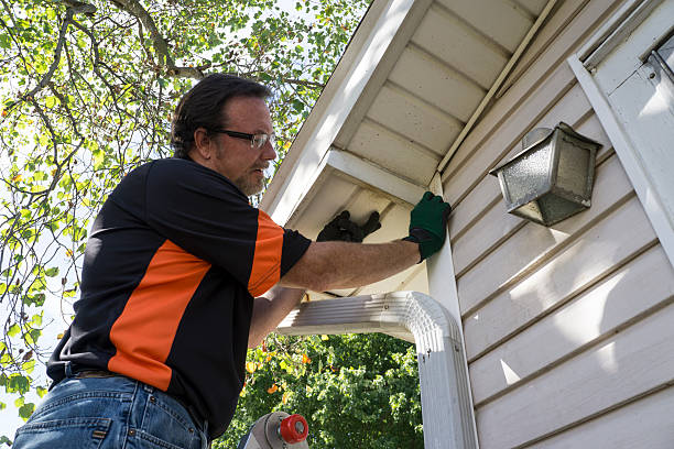Trusted Newport, NC Siding Installation & Repair Experts